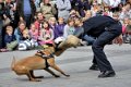 Polizeishow   046